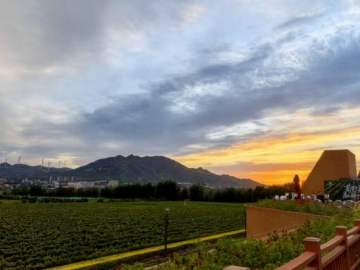 葡萄酒选购注意什么，长城桑干以现代智慧酿出时光之味