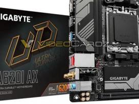 һA620 Mini-ITX壡 A620M