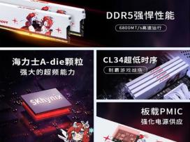 JUHOR CL34 DDR5̨ʽڴ 32GB 6800MHz