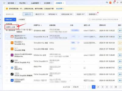 2026年电商超级浏览器哪个好用：必选站斧浏览器，团队分级管控店铺权限