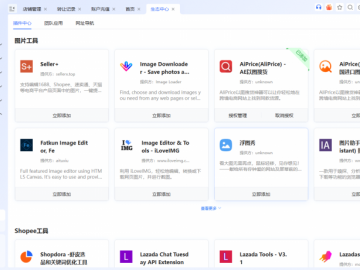 2026年IP隔离浏览器靠谱测评：站斧浏览器节点自由切换，适配海内外跨境场景