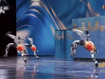 做人形机器人，不是拼人头：马斯克与王兴兴正在改写规则