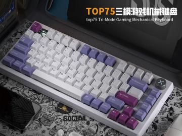 达摩鲨 香芋紫薯 无线三模RGB机械键盘 限量开售现379元带走
