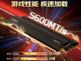 Ӣ 64GB DDR5 5600װڴ1299Ԫ