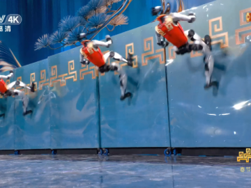 以武会春，宇树春晚机器人马年秀出“赛博真功夫”